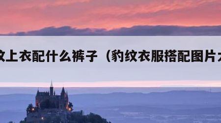 豹纹上衣配什么裤子（豹纹衣服搭配图片大全）