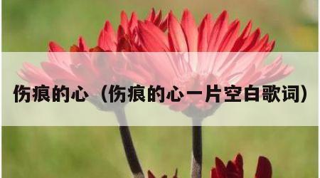 伤痕的心（伤痕的心一片空白歌词）