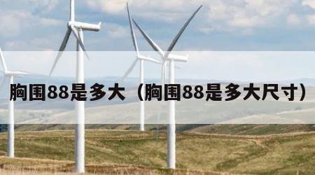 胸围88是多大（胸围88是多大尺寸）