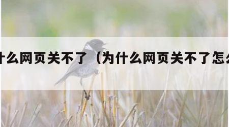 为什么网页关不了（为什么网页关不了怎么回事）