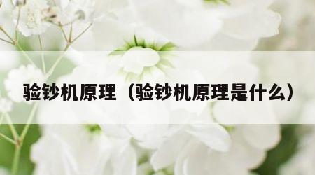 验钞机原理（验钞机原理是什么）