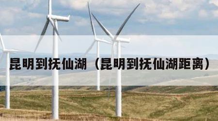 昆明到抚仙湖（昆明到抚仙湖距离）