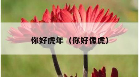 你好虎年（你好像虎）