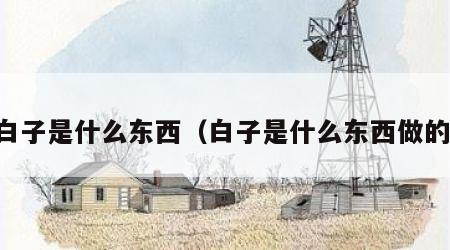 白子是什么东西（白子是什么东西做的）
