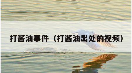 打酱油事件（打酱油出处的视频）