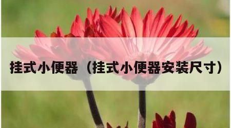 挂式小便器（挂式小便器安装尺寸）