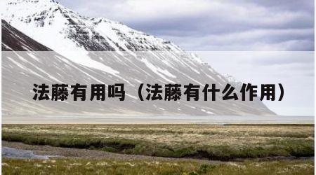 法藤有用吗（法藤有什么作用）