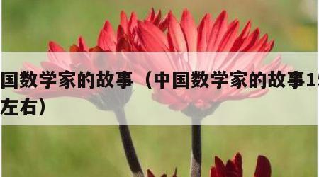 中国数学家的故事（中国数学家的故事150字左右）