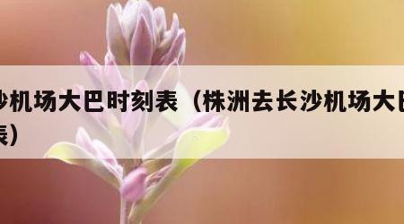 长沙机场大巴时刻表（株洲去长沙机场大巴时刻表）