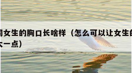 组词女生的胸口长啥样（怎么可以让女生的胸变大一点）