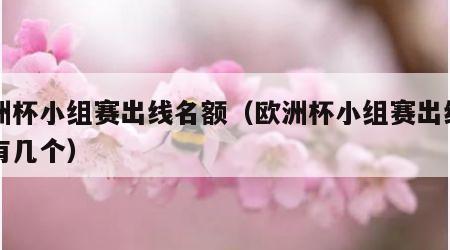 欧洲杯小组赛出线名额（欧洲杯小组赛出线名额有几个）