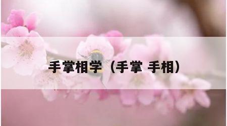 手掌相学（手掌 手相）