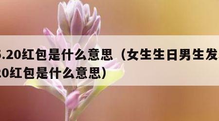 5.20红包是什么意思（女生生日男生发520红包是什么意思）