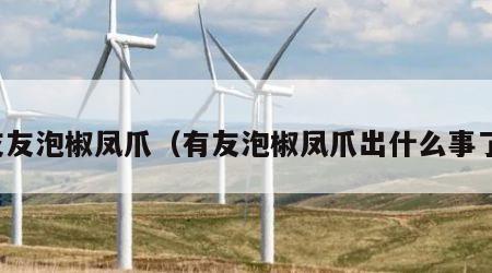 友友泡椒凤爪（有友泡椒凤爪出什么事了）