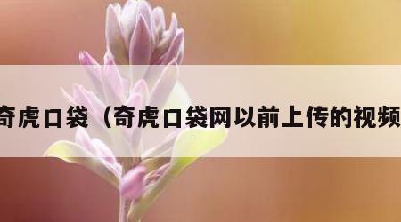奇虎口袋（奇虎口袋网以前上传的视频）