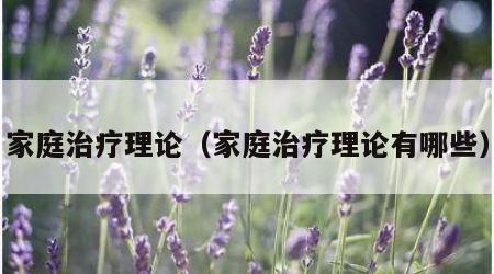 家庭治疗理论（家庭治疗理论有哪些）