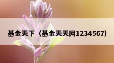 基金天下（基金天天网1234567）