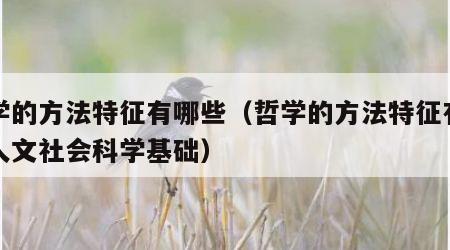 哲学的方法特征有哪些（哲学的方法特征有哪些人文社会科学基础）