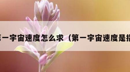 第一宇宙速度怎么求（第一宇宙速度是指）