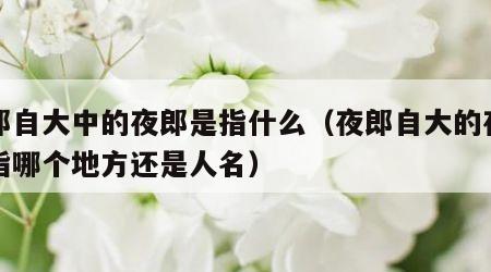 夜郎自大中的夜郎是指什么（夜郎自大的夜郎是指哪个地方还是人名）