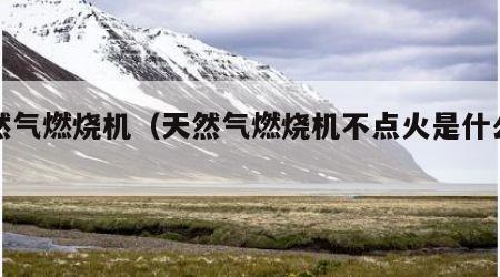 天然气燃烧机（天然气燃烧机不点火是什么原因）