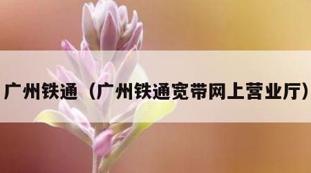 广州铁通（广州铁通宽带网上营业厅）