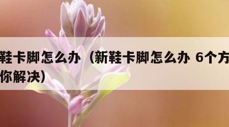 新鞋卡脚怎么办（新鞋卡脚怎么办 6个方法帮你解决）