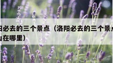 洛阳必去的三个景点（洛阳必去的三个景点老君山在哪里）
