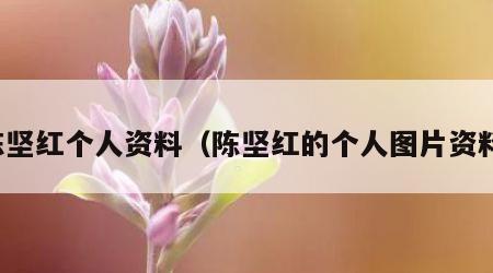 陈坚红个人资料（陈坚红的个人图片资料）
