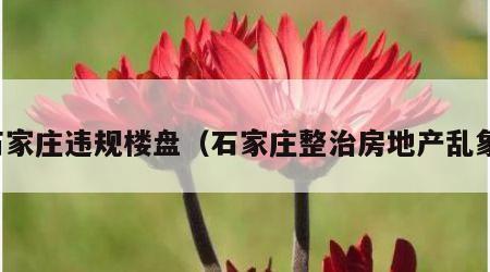 石家庄违规楼盘（石家庄整治房地产乱象）
