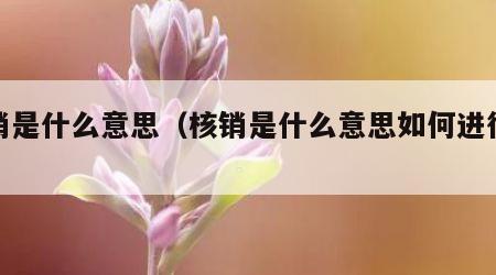 核销是什么意思（核销是什么意思如何进行核销）