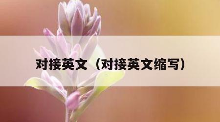 对接英文（对接英文缩写）