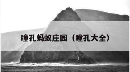 瞳孔蚂蚁庄园（瞳孔大全）