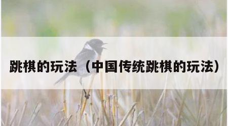 跳棋的玩法（中国传统跳棋的玩法）