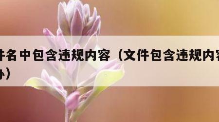 文件名中包含违规内容（文件包含违规内容怎么办）