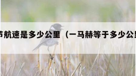 1节航速是多少公里（一马赫等于多少公里?）