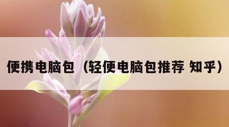 便携电脑包（轻便电脑包推荐 知乎）