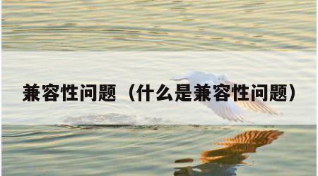 兼容性问题（什么是兼容性问题）