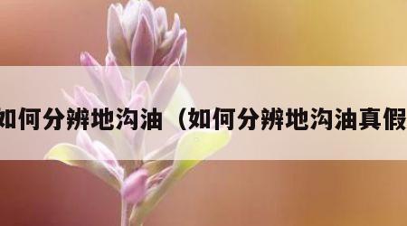 如何分辨地沟油（如何分辨地沟油真假）