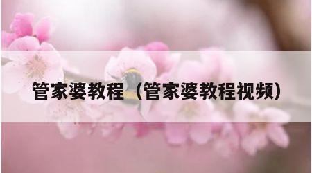 管家婆教程（管家婆教程视频）