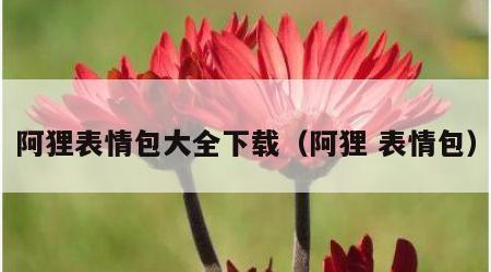 阿狸表情包大全下载（阿狸 表情包）