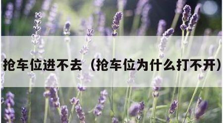 抢车位进不去（抢车位为什么打不开）