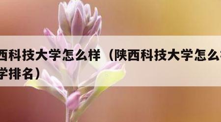 陕西科技大学怎么样（陕西科技大学怎么样?大学排名）