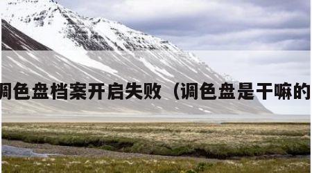 调色盘档案开启失败（调色盘是干嘛的）