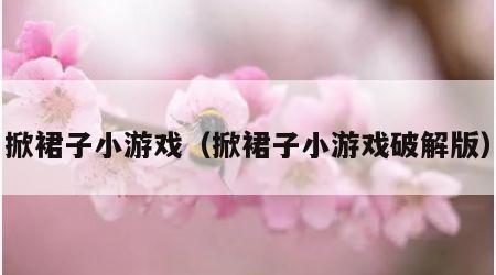 掀裙子小游戏（掀裙子小游戏破解版）