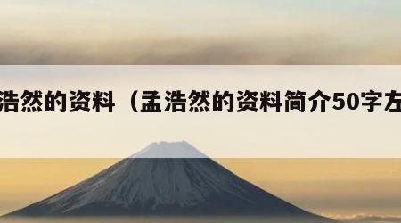 孟浩然的资料（孟浩然的资料简介50字左右）