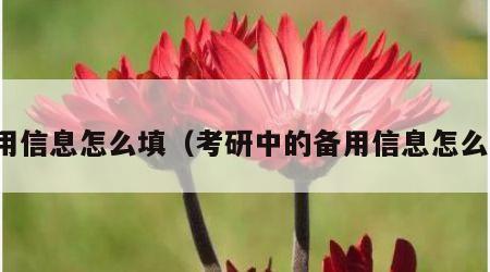备用信息怎么填（考研中的备用信息怎么填）
