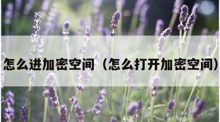 怎么进加密空间（怎么打开加密空间）