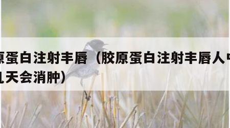 胶原蛋白注射丰唇（胶原蛋白注射丰唇人中人中几天会消肿）