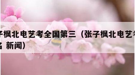 张子枫北电艺考全国第三（张子枫北电艺考第三名 新闻）